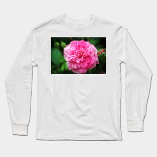 Pink Delight Long Sleeve T-Shirt